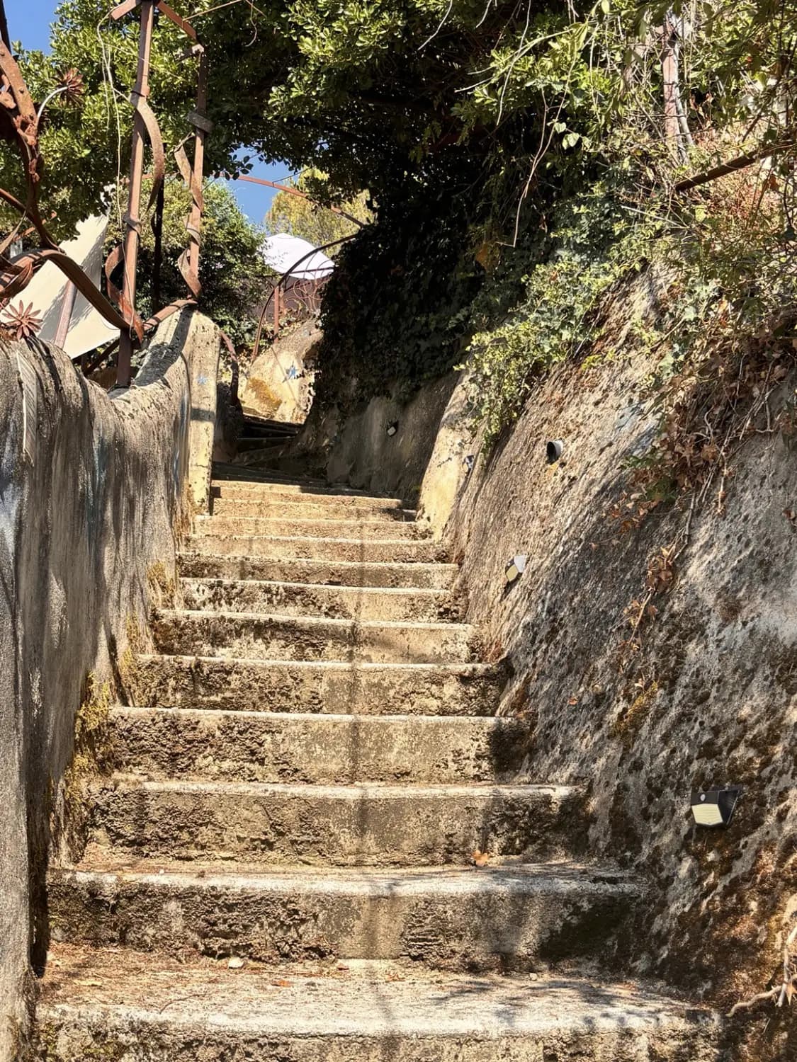 L'escalier de pierre qui serpente sous la végétation